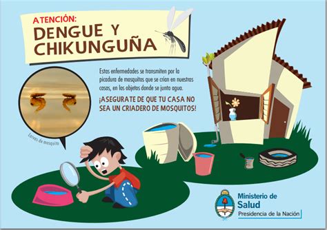 Fiebre Chikungunya Y Dengue Ministerio De Salud P Blica De Tucum N