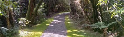 Swimmers Beach Walk West Coast New Zealand 14 Reviews Map AllTrails