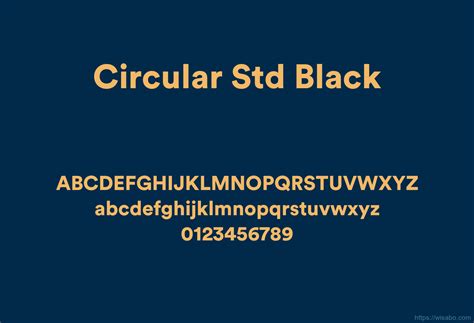 Circular Std Black Font Free Download Ttf Otf Wisabo Fonts