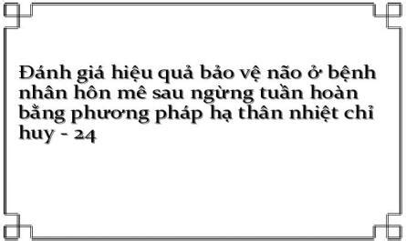 Đánh giá hiệu quả bảo vệ não ở bệnh nhân hôn mê sau ngừng tuần hoàn