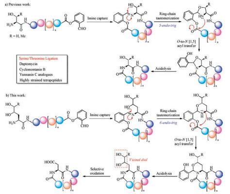 Scheme 1 Design Of The Aspartic Acid Ligation For Peptide Cyclization