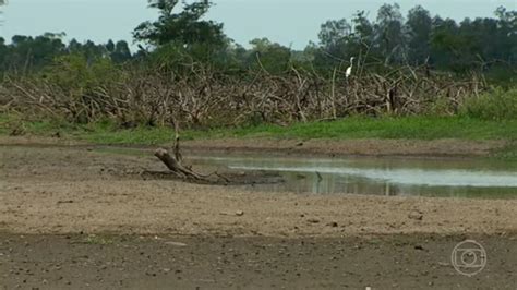 Mais de 120 municípios do Rio Grande do Sul decretam situação de