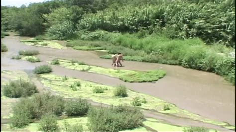 Sexy Bisex In The Car Full Movie Hd Version Anal Porn By Centoxcentovod Xhamster