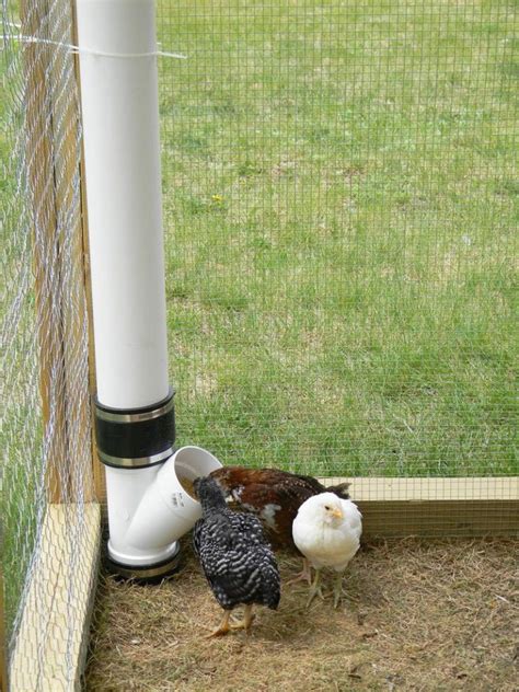 DIY PVC Chicken Feeders An Affordable And Efficient Chicken Coop Solution