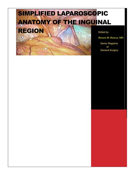 Lap Anatomy Of The Inguinal Region Pdf