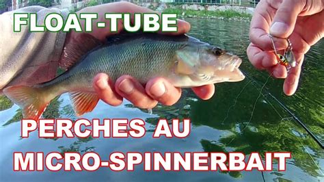 PECHE DE LA PERCHE AU MICROSPINNER le leurre idéal en été YouTube