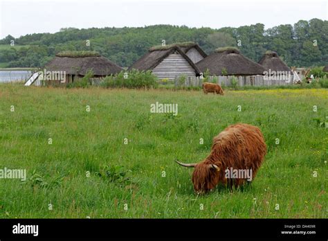 Viking Houses Hi Res Stock Photography And Images Alamy