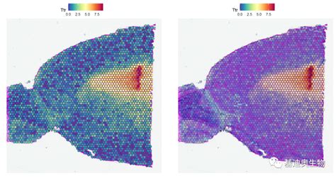 学一点空间转录组数据分析方法 知乎
