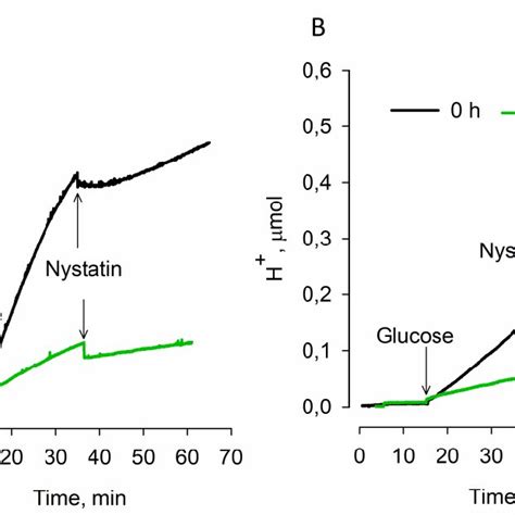 Effect Of Desiccation On The Acidification Of S Cerevisiae A And