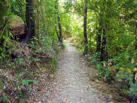 Hiking the Queen Charlotte Track on New Zealand's South Island