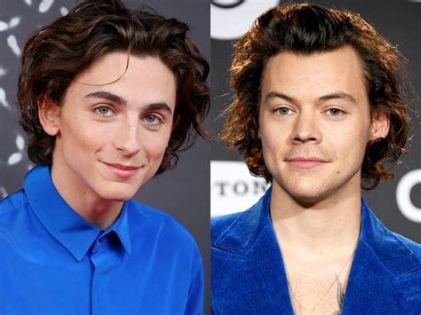 'SNL': Timothee Chalamet's Harry Styles Impression Delights Fans ...