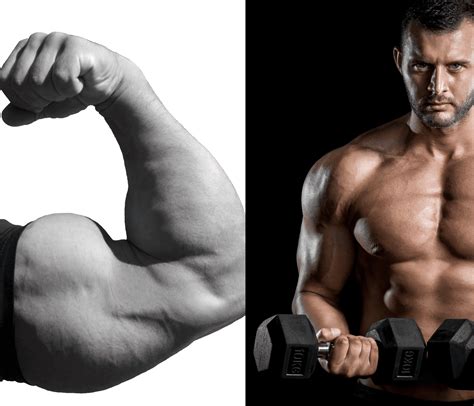 Biceps and Triceps On the Same Day: Build Huge Arms Quickly