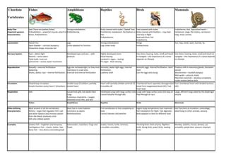 Vertebrates chordata chart | PPT