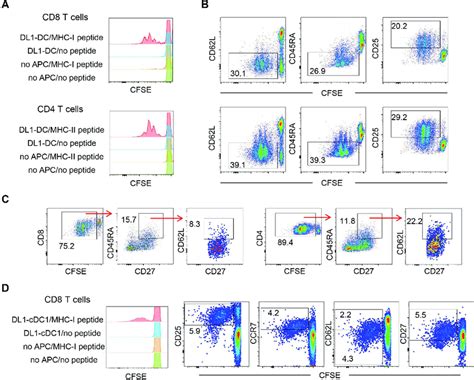 T Cell Proliferative Capacity Of Human Ipsc Derived Dcs A