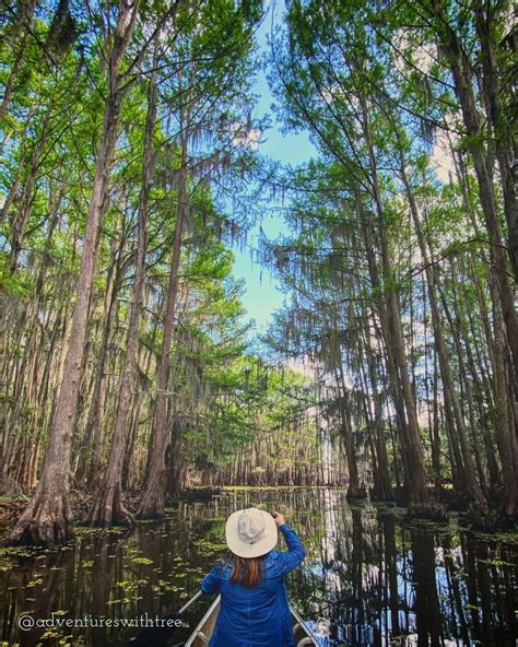 Caddo Lake State Park (Texas) - Travel Guide & Tips