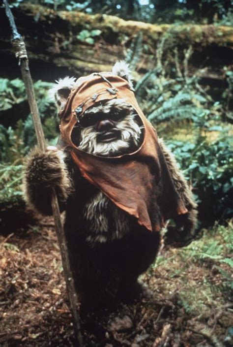 Bear are they now? How dwarf actors who played Ewoks in Return of the ...