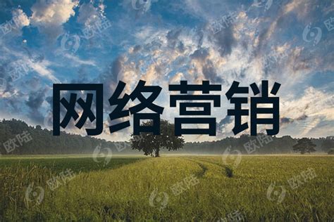 企业进行网络营销如何选择合适的平台 欧陆赢销广州网络推广公司