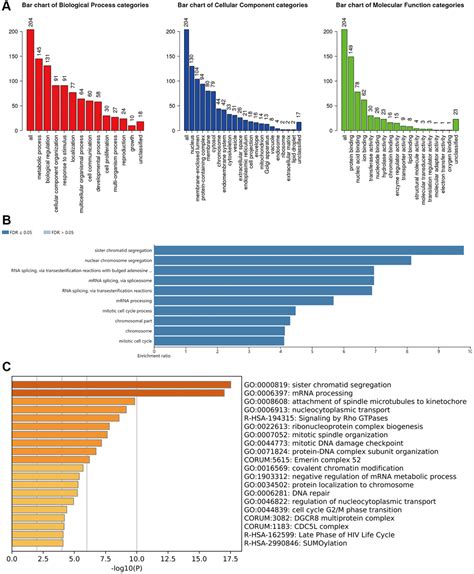 The Comprehensive Expression And Functional Analysis Of M A