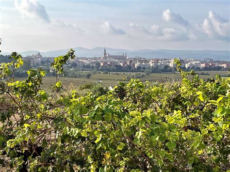 Vilafranca del Penedès MARIA ROSA FERRE Flickr