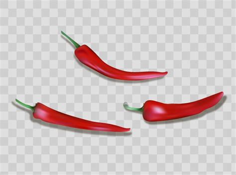 Hot Chili Pepper Logo Mockup Mexican Jalapeno Red Vector Image
