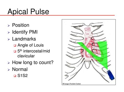 Ppt Physical Assessment Powerpoint Presentation Free Download Id