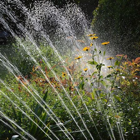 Tips for Installing DIY Garden Irrigation