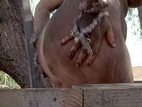 GENEVIEVE LEMON Nude AZNude