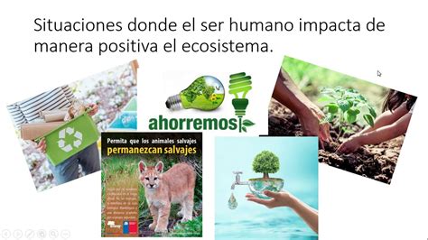 4 básico impacto positivo del ser humano en los ecosistemas YouTube