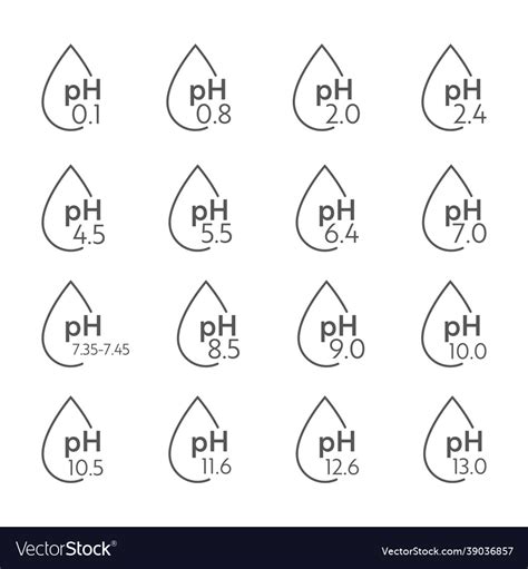 Ph value scale chart Royalty Free Vector Image