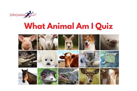 What Animal Am I Quiz - JobsJaano