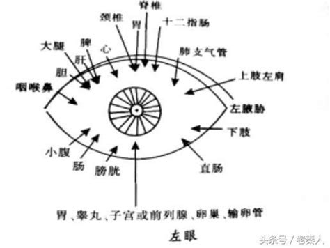 目診：通過眼睛看全身 每日頭條