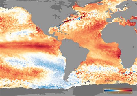 Olas De Calor Marinas Sus Impactos En Los Ecosistemas Oc Anicos Y