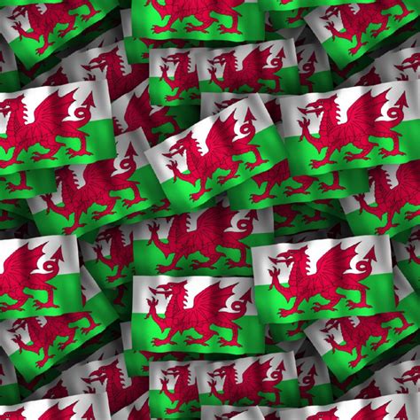 Welsh Flag 23 Pattern Crew