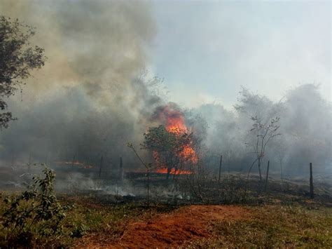 Incêndio de grandes proporções atinge área de reserva ambiental em