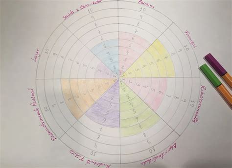 Roda da vida o que é e como utilizar