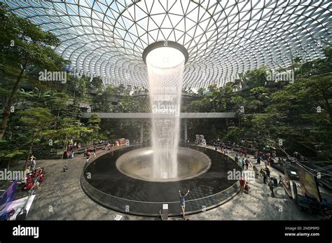 Le Rain Vortex De L A Roport De Jewel Changi Est Situ Dans Une For T