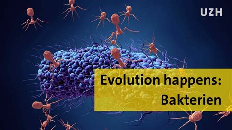 Evolution Happens Bakterien Youtube