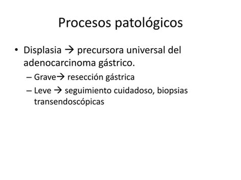 Neoplasias Malignas Del Est Mago Ppt