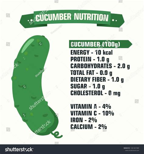 Vector Product Icon Vegetable Nutritional Value Cucumber Description