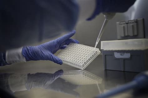 Dos Ciudades Chinas Exigen Prueba Anal De Covid A Viajeros Internacionales Forbes Colombia