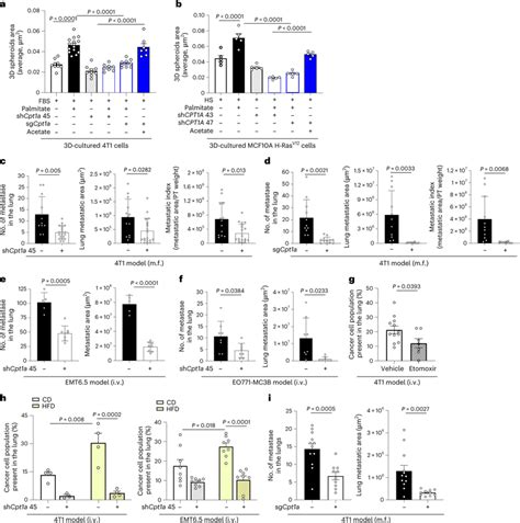 Silencing CPT1a Counteracts Palmitate Induced Spheroid Growth And