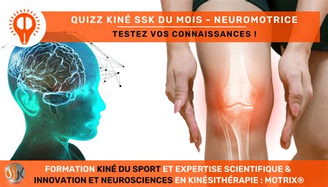 L Inclusion Des Neurosciences Dans La Pratique Kin Testez Vos