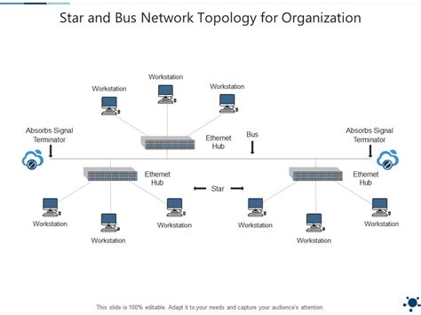 Star And Bus Network Topology For Organization Presentation Graphics