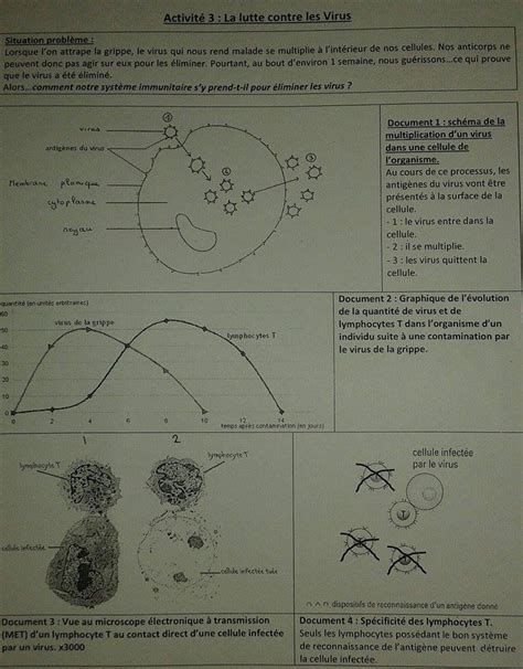 bonjours alors voilà en svt j ai un travaille a faire sur des