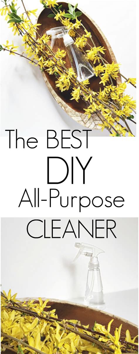 The Best DIY All-Purpose Cleaner - Go Grow Go!