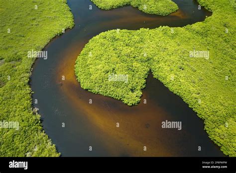 Aerial view of Florida wetlands with green vegetation between ocean ...