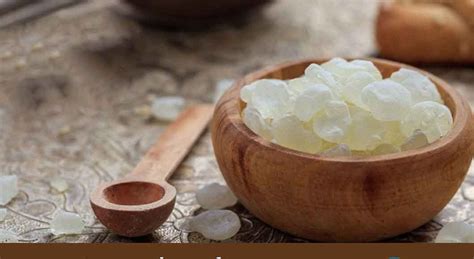 Mastic Gum Benefits 8 Amazing Benefits Health Beauty