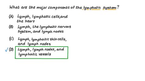 Question Video Recalling The Major Components Of The Lymphatic System