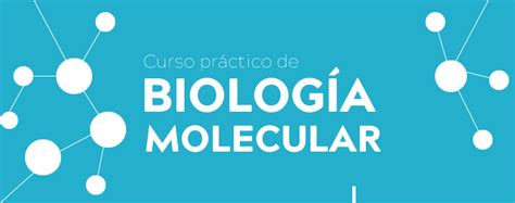 Curso B Sico De Biolog A Molecular Universidad El Bosque