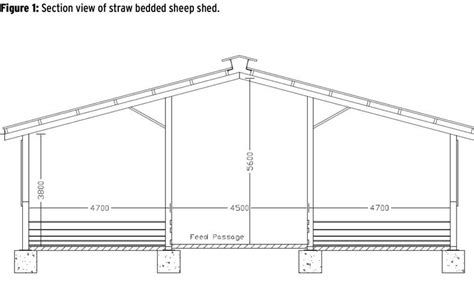sheep shed plans